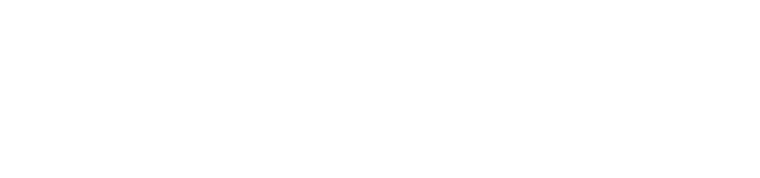 Siemens Logo White